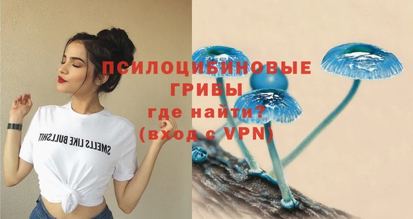 амфетамин Елизово