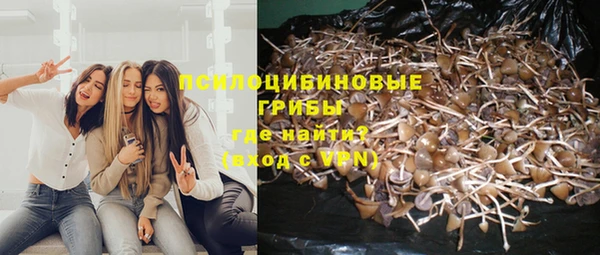 амфетамин Елизово